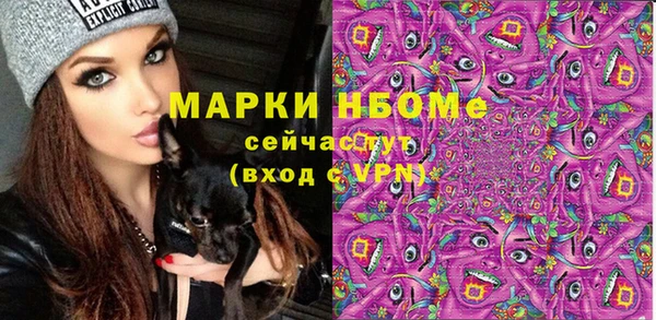 ешки Арсеньев