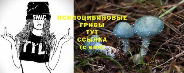 ешки Арсеньев