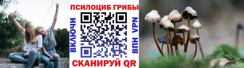 Галлюциногенные грибы мицелий  hydra tor  Салаир 